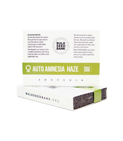 Семена сорта Auto Amnezia Haze fem (Bulk Seed Bank)