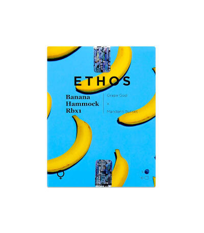 Семена сорта Banana Hammock RBX fem (Ethos Genetics)