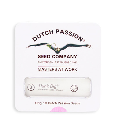Семена сорта Think Big auto fem