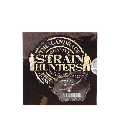 Семена сорта Damnesia fem (Strain Hunters)