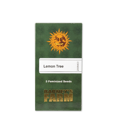 Семена сорта Lemon Tree fem (Barney's Farm)