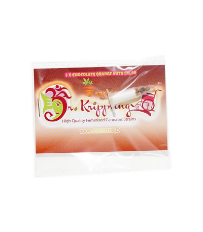 Семена сорта Chocolate Orange Auto fem (Dr. Krippling Seeds)