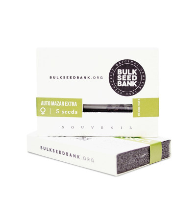 Семена сорта Auto Mazar Extra fem