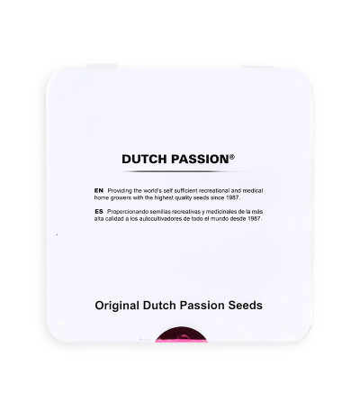 Семена сорта Auto Critical Orange Punch fem (Dutch Passion)