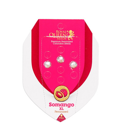 Семена сорта Somango XL fem (Royal Queen Seeds)