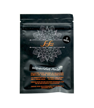Семена сорта Ultraviolet auto fem (Samsara Seeds)