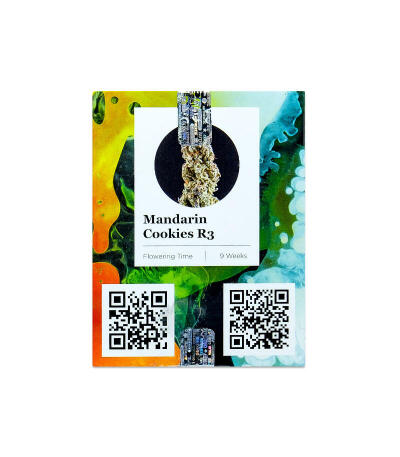 Семена сорта Mandarin Cookies R3 fem (Ethos Genetics)