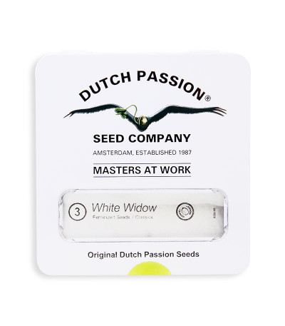 Семена сорта White Widow fem (Dutch Passion)