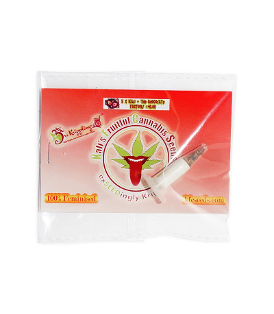 Семена сорта Kali & the Chocolate Factory fem (KFC Seeds)