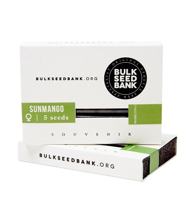 Семена сорта Somango fem