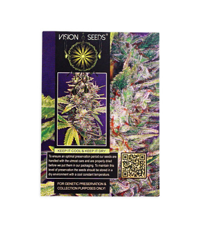 Семена сорта Brainkiller Haze fem (Vision Seeds)