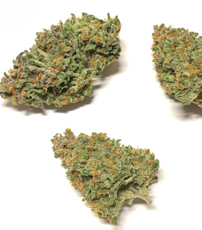 Семена сорта Auto Caramelino fem (Victory Seeds)