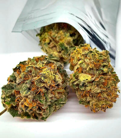 Семена сорта Louis XIII fem (7CH American)