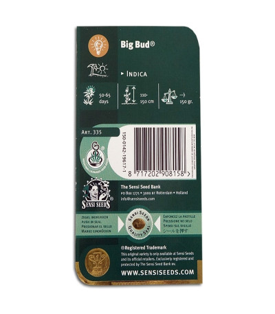 Семена сорта Big Bud reg (Sensi Seeds)