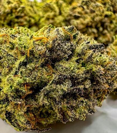 Семена сорта Mandarin Cookies fem (7CH American)
