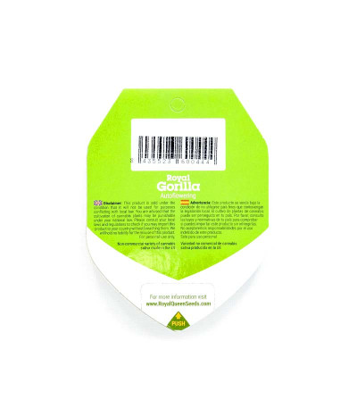 Сорт конопли Royal Gorilla Automatic fem (Royal Queen Seeds)