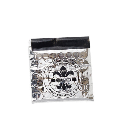 Семена сорта Auto Afgani fem (VIP seeds)