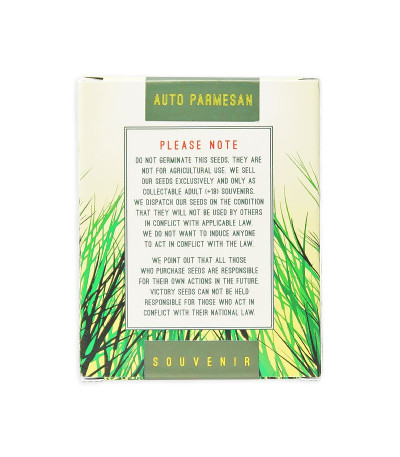 Семена сорта Auto Parmesan fem (Victory Seeds)