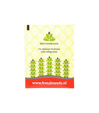 Семена марихуаны Skunk Specia в оригинальной упаковке