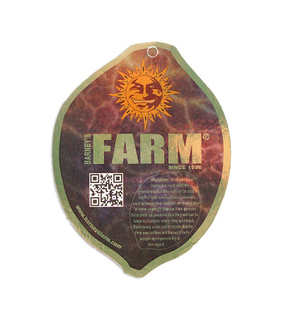 Семена сорта Top Dawg fem