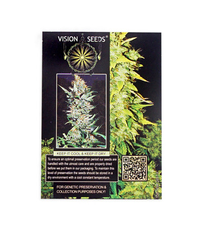 Семена сорта White Widow Auto Fem (Vision Seeds)