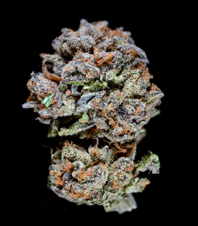 Семена сорта Black Cherry Punch fem (Pyramid Seeds)