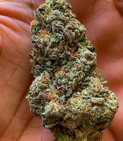 Семена сорта Ghost Train Haze fem (Seedkeepers)