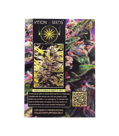 Семена сорта La Blanca Gold Auto Fem (Vision Seeds)