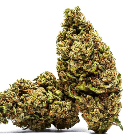 Семена сорта Cannatonic fem (Resin Seeds)