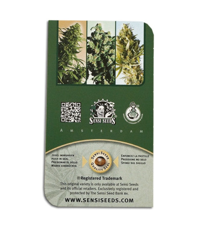 Семена сорта Silver Haze #9 fem (Sensi Seeds)