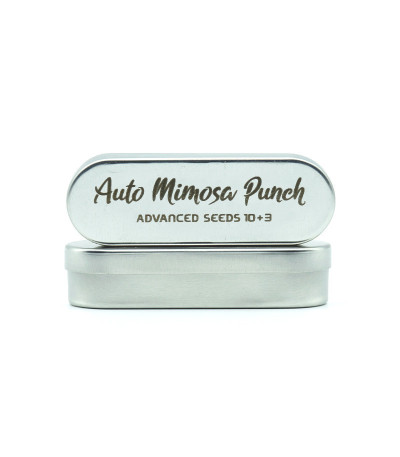 Семена сорта Auto Mimosa Punch fem (Advanced Seeds)