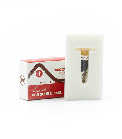 Семена сорта Bcn Sour Diesel fem