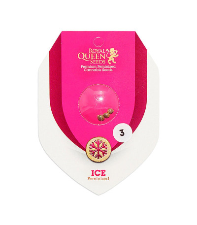 Семена сорта Ice fem (Royal Queen Seeds)