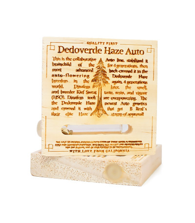 Семена сорта Dr Greenthumb’s Dedoverde Haze Auto fem