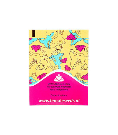 Семена марихуаны Auto Kush в оригинальной упаковке