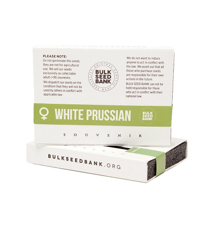 Семена сорта White Prussian fem