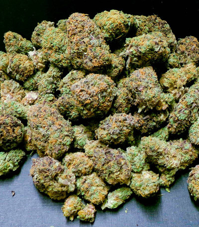 Семена сорта Lemonpaya fem (FastBuds)