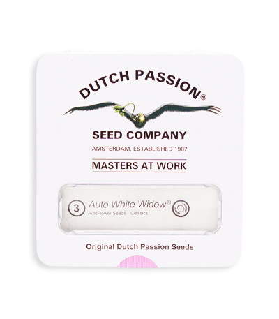 Семена сорта Auto White Widow fem (Dutch Passion)
