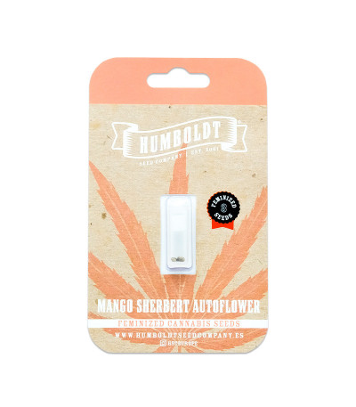 Семена сорта Mango Sherbert Auto fem от Humboldt Seed Company