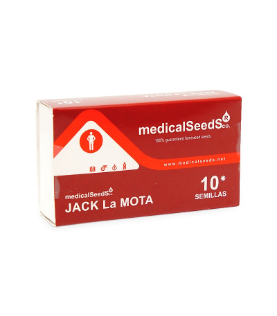 Семена сорта Jack La Mota fem