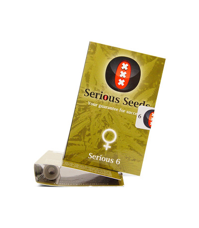 Семена сорта Serious 6 fem (Serious Seeds)