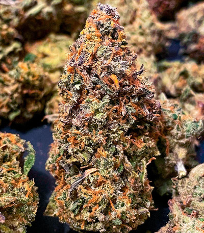 Семена сорта Grape Kong Auto fem от Семяныча