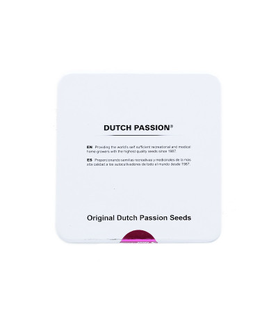 Семена сорта Auto Skywalker Haze fem (Dutch Passion)