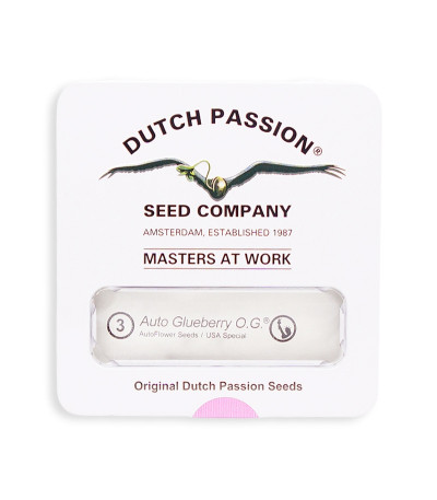 Семена конопли Auto Glueberry O.G.в оригинальной упаковке