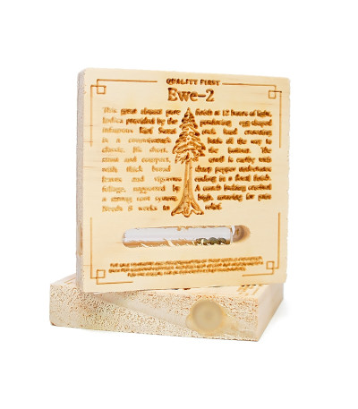 Семена сорта Ewe-2 fem