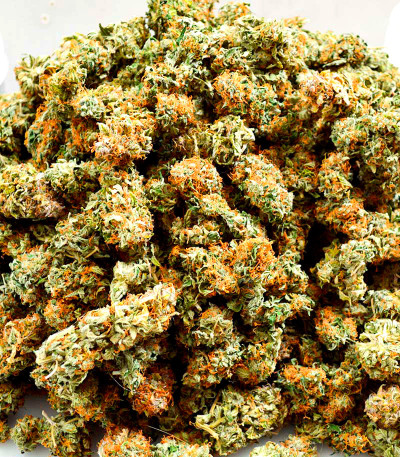 Семена сорта Gorilla Auto fem (Семяныч)