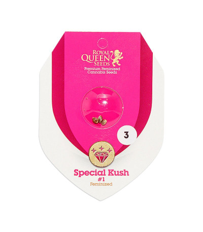 Семена сорта Special Kush 1 fem (Royal Queen Seeds)