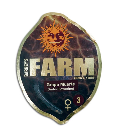 Семена сорта Grape Muerte Auto fem