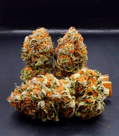 Семена сорта Frosted Guava fem (Original Sensible Seeds)