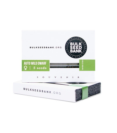 Семена сорта Auto Wild Dwarf fem